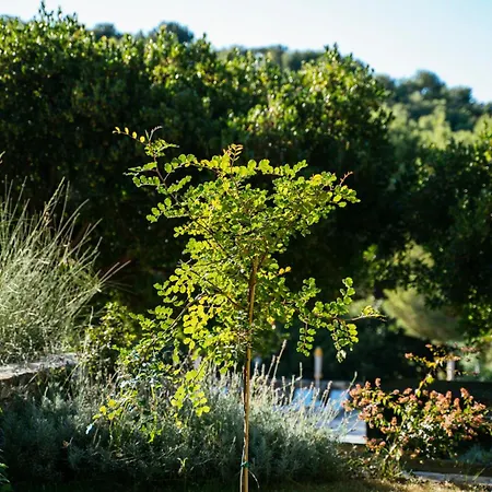 Sporting Pinamare Marina dʼAndora