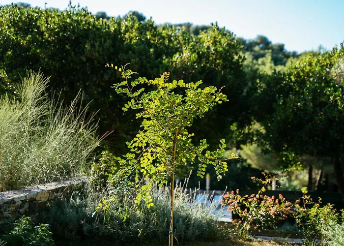 Sporting Pinamare Marina dʼAndora